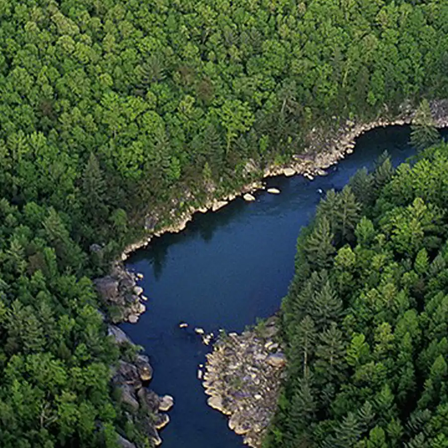 A picture of a river surrounded by forest.