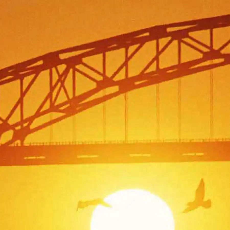 A photo of waterbirds flying underneath a bridge at sunset.